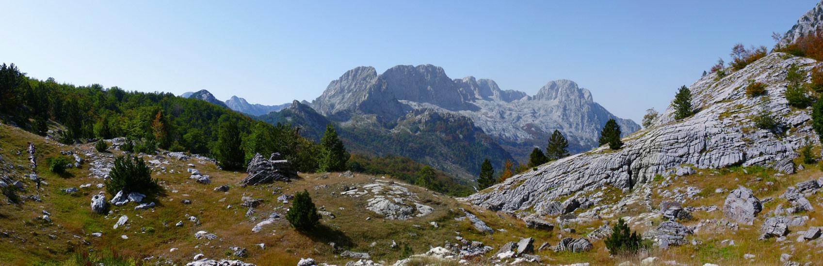 103.jpg