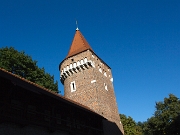 IMG_7562