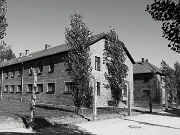 IMG_7641