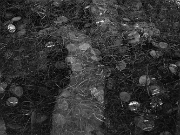 IMG_7662