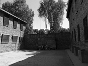IMG_7683