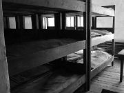 IMG_7686