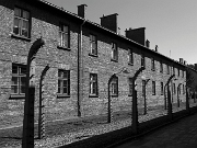 IMG_7692