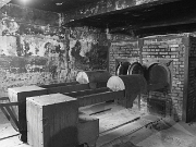 IMG_7697
