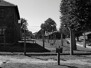IMG_7698