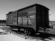 IMG_7712