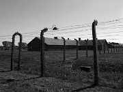 IMG_7714