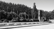 IMG_7715