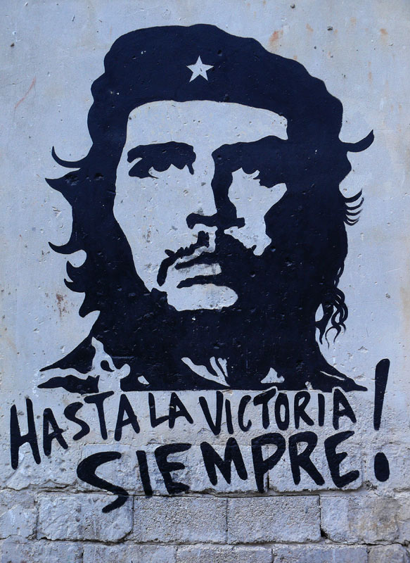 P1030133.jpg