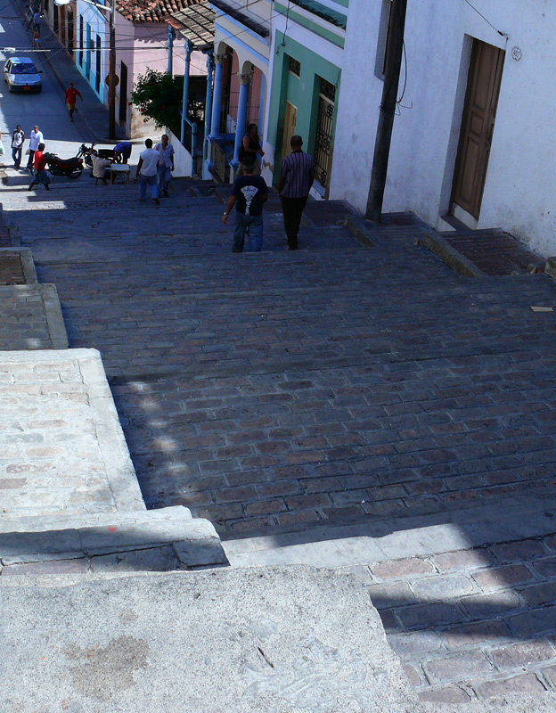P1030328.jpg