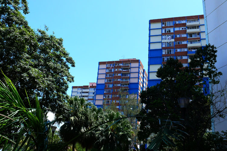 P1030351.jpg