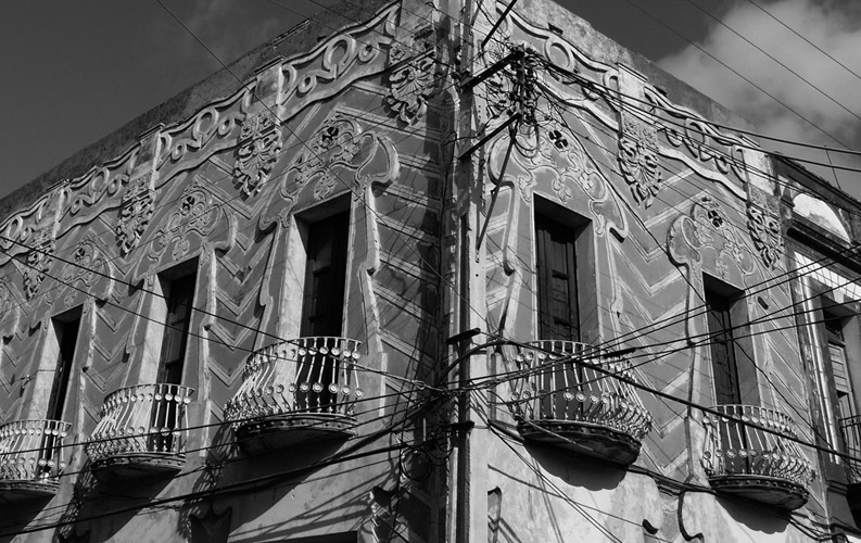 P1030516.jpg