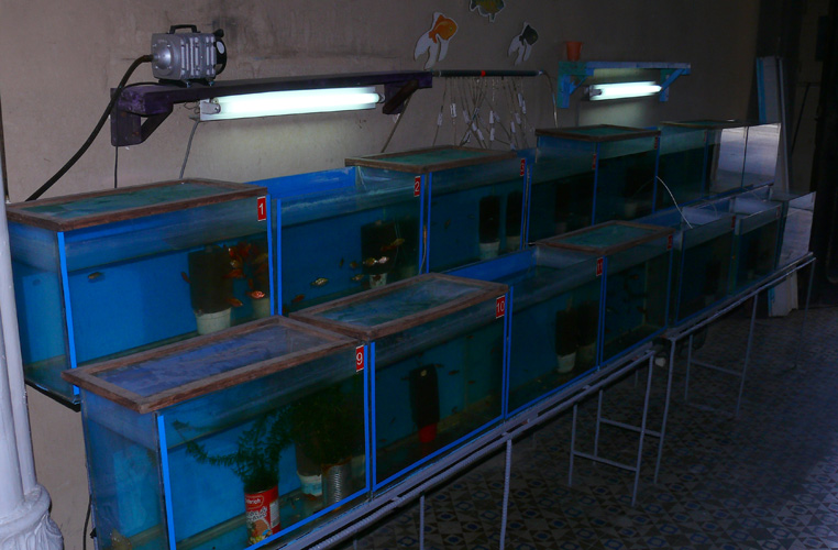 P1030537.jpg