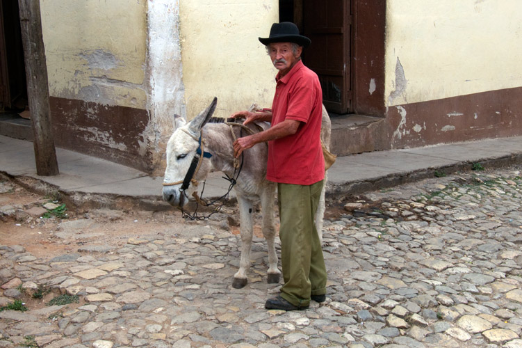 P1030553.jpg