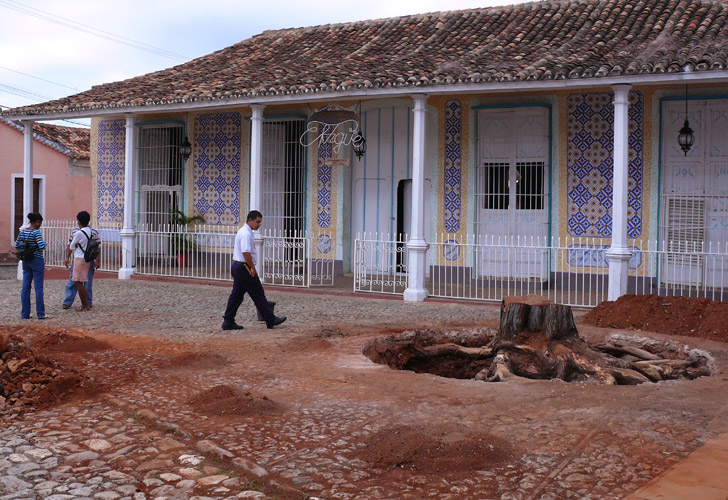 P1030572.jpg