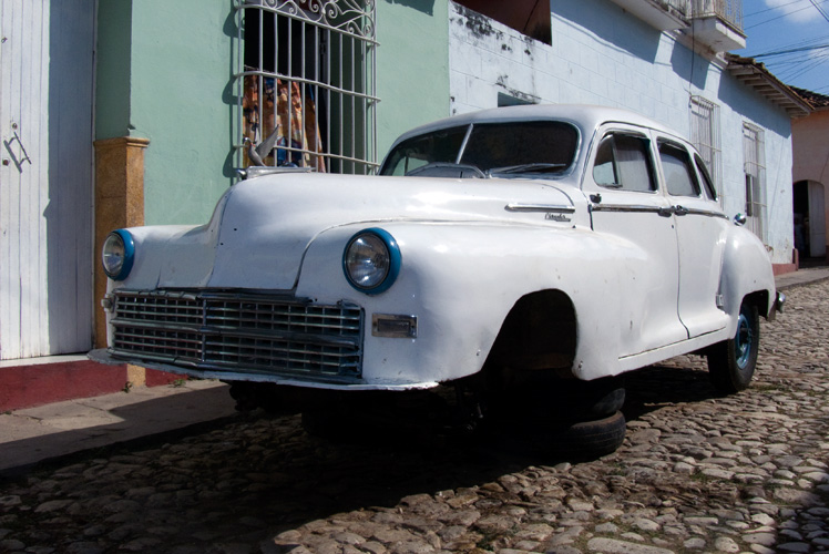 P1030623.jpg
