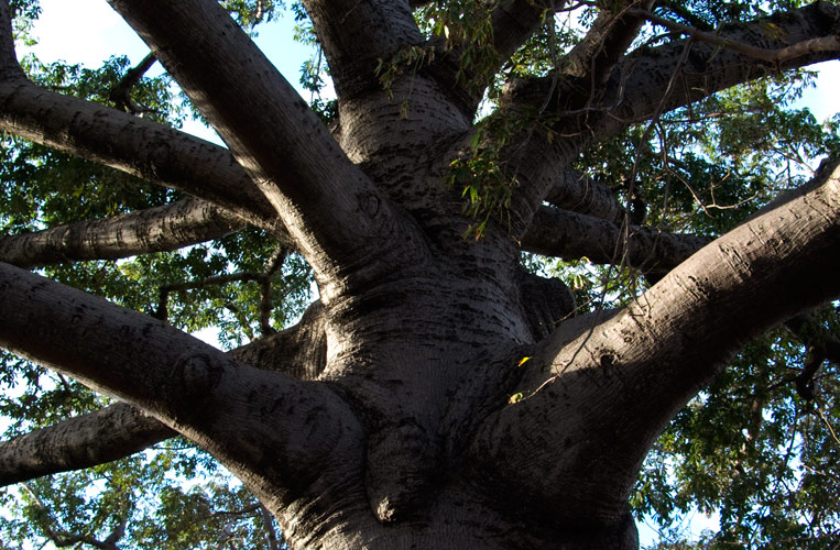 P10306x97.jpg