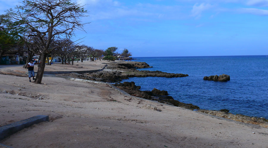 P1030716.jpg