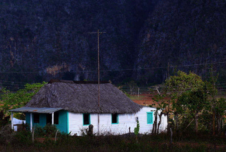 P1030969.jpg