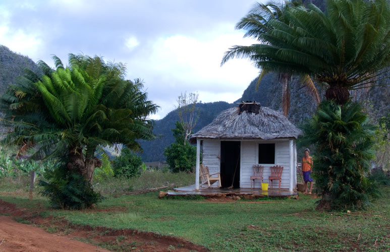 P1030990.jpg