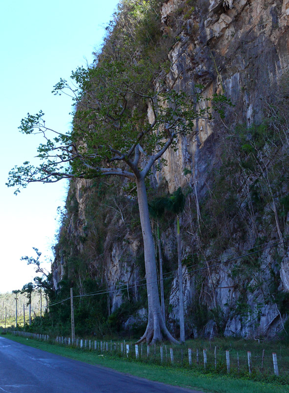P1040214.jpg