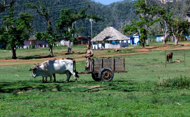 P1040220.jpg