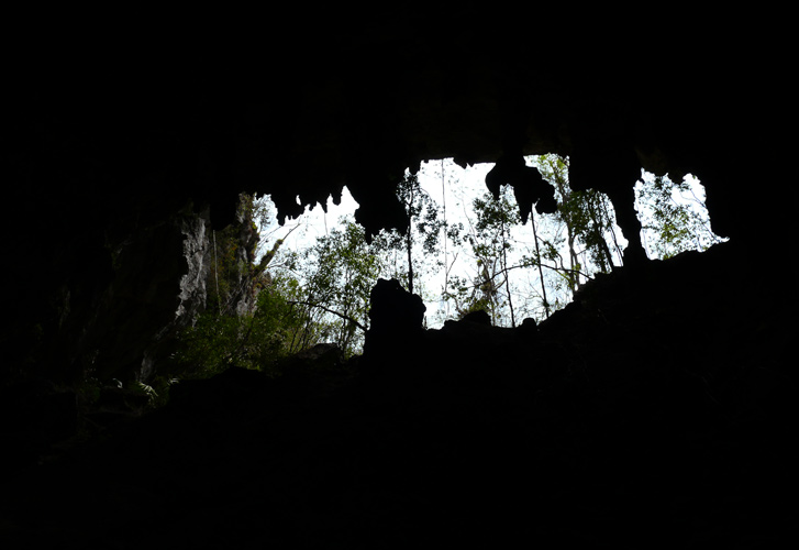 P1040280.jpg