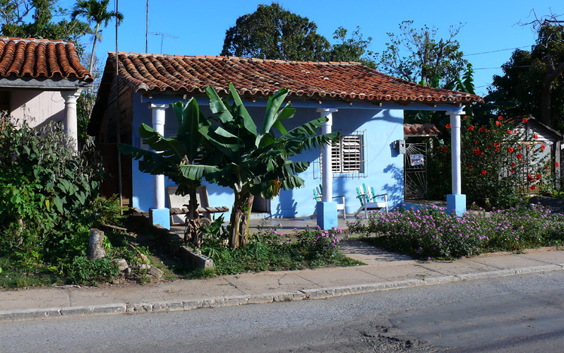P1040382.jpg