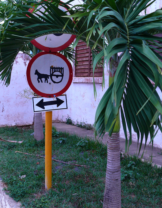 P1040434.jpg
