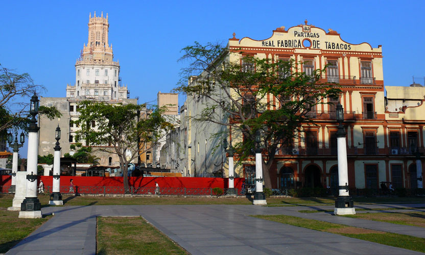 P1040484.jpg