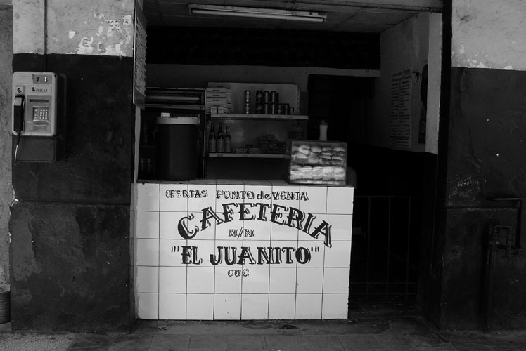 P1040643.jpg