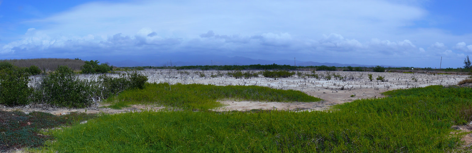 Panorama-c9.jpg