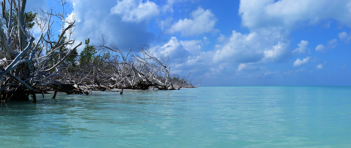 Panoramca-3.jpg