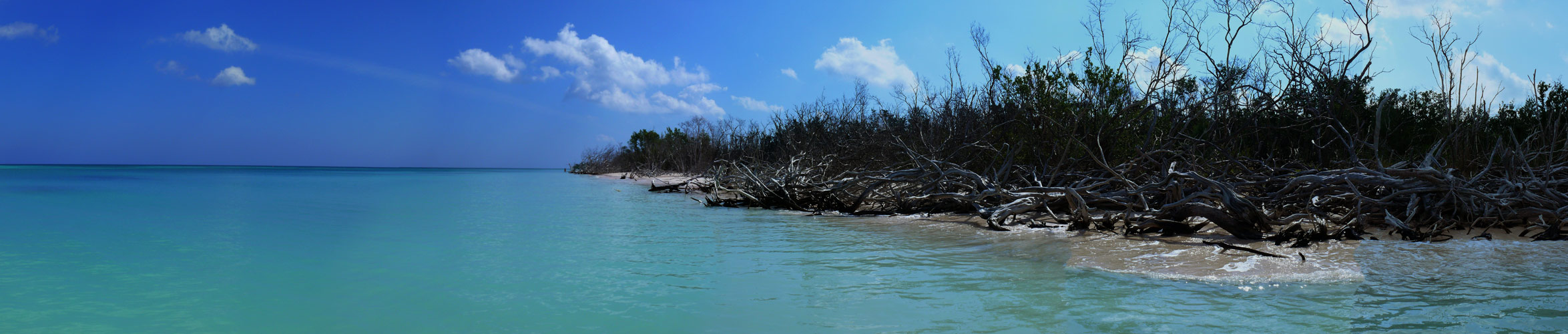 Panoramca-5.jpg