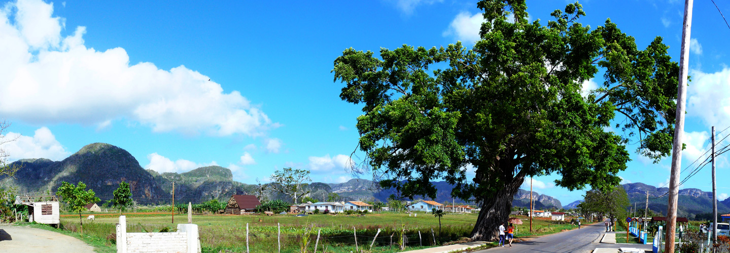 Panoramsa-14.jpg