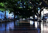 P1030108
