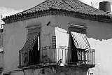 P1030168