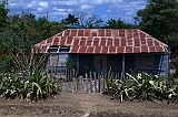 P1030214