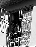 P1030309