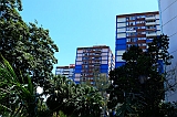 P1030351
