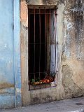 P1030498