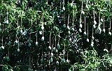 P1030792