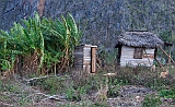 P1030985