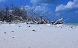 P1040087
