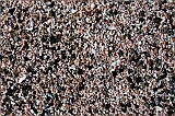 P1040108