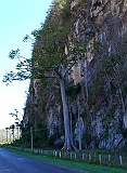 P1040214