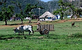 P1040220