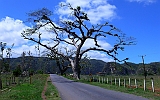 P1040256
