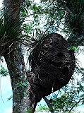 P1040288
