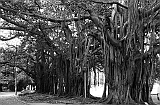 P1040640